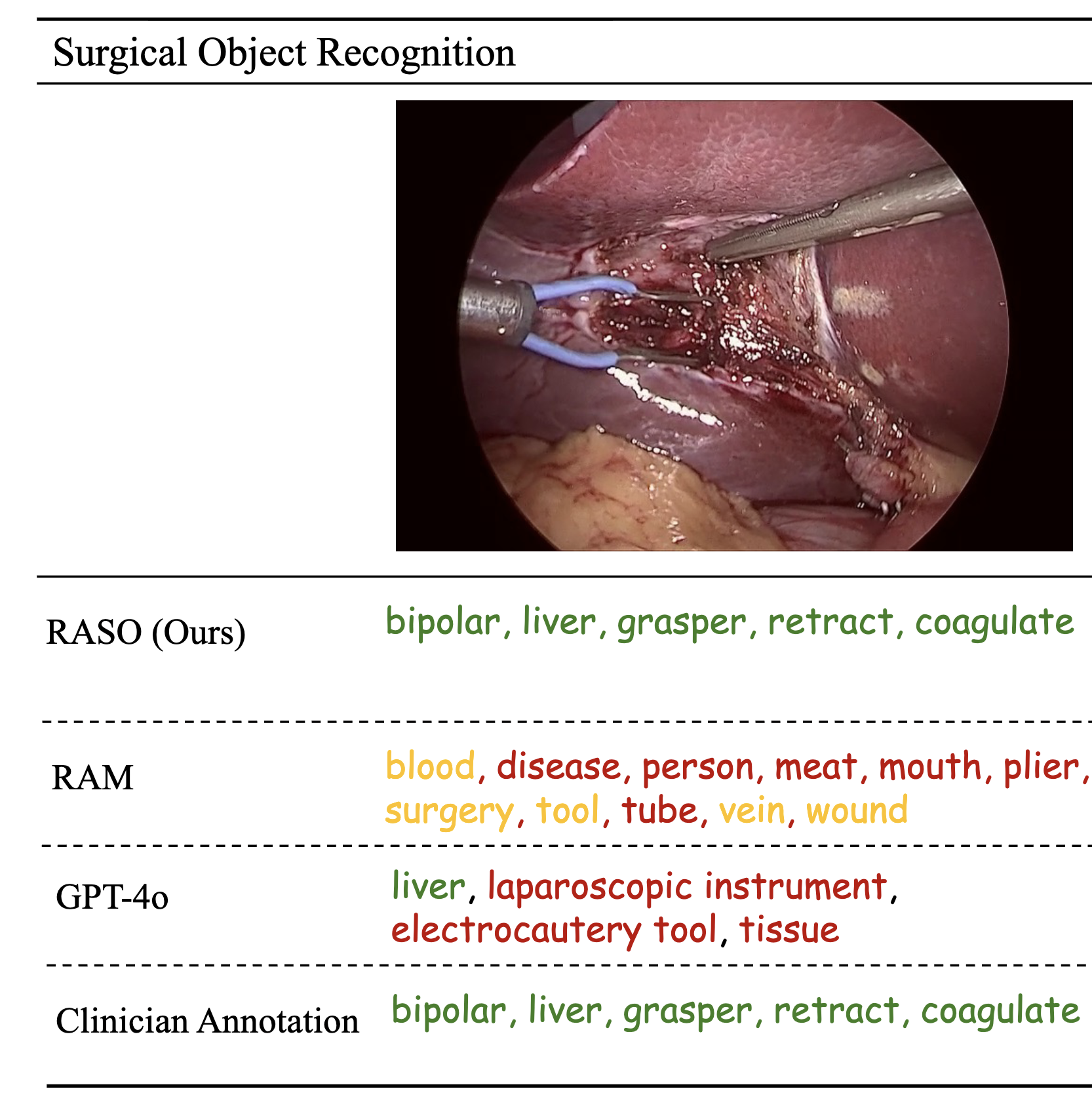 RASO overview illustration