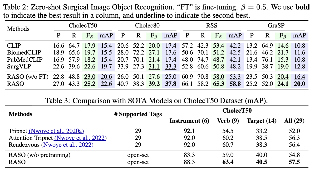RASO recognition results illustration